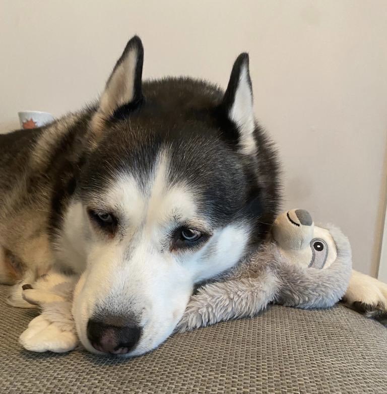 Shelley Benbow tweet media