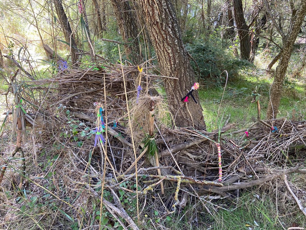 bertaeco's tweet image. Para amar y respetar a la Naturaleza tenemos que conocerla y disfrutar en ella. Dejemos que los niños y jóvenes estén al aire libre. El riesgo para ellos no está en la Naturaleza, el riesgo está en no tener contacto con ella. #DecrecerRadio3 @BosqueHabitado @katiahueso