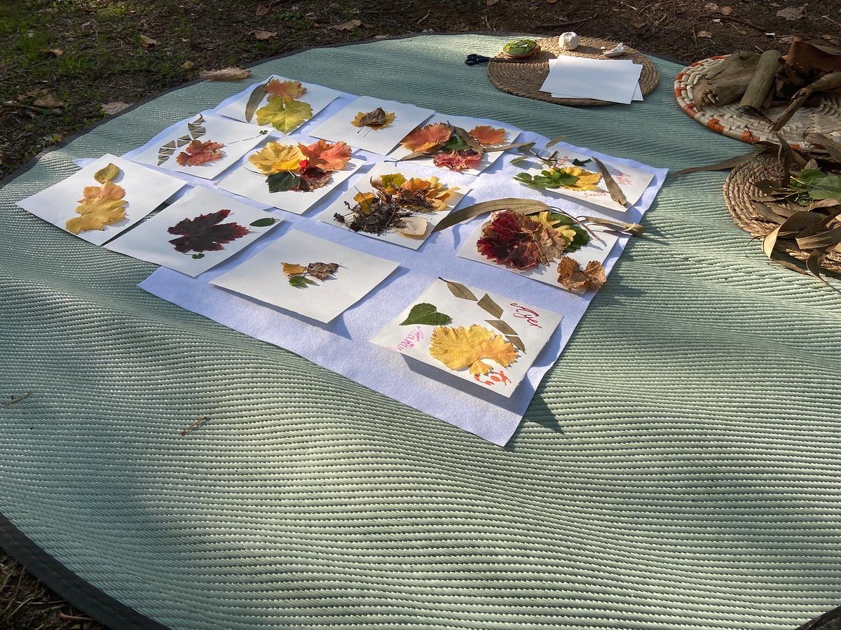 bertaeco's tweet image. Para amar y respetar a la Naturaleza tenemos que conocerla y disfrutar en ella. Dejemos que los niños y jóvenes estén al aire libre. El riesgo para ellos no está en la Naturaleza, el riesgo está en no tener contacto con ella. #DecrecerRadio3 @BosqueHabitado @katiahueso