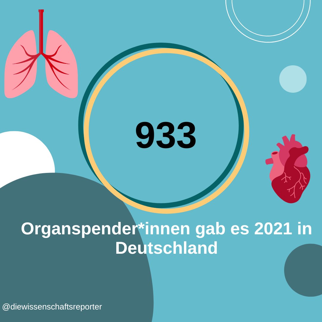 #Organspende implementierten - das diskutieren die #Grünen auf ihrem #Parteitag. Die #Wissenschaftsreporter diskutieren das Thema Organspende aus wissenschaftlicher Perspektive: "Wie reparierbar ist der Mensch?" open.spotify.com/episode/4U0vGl…