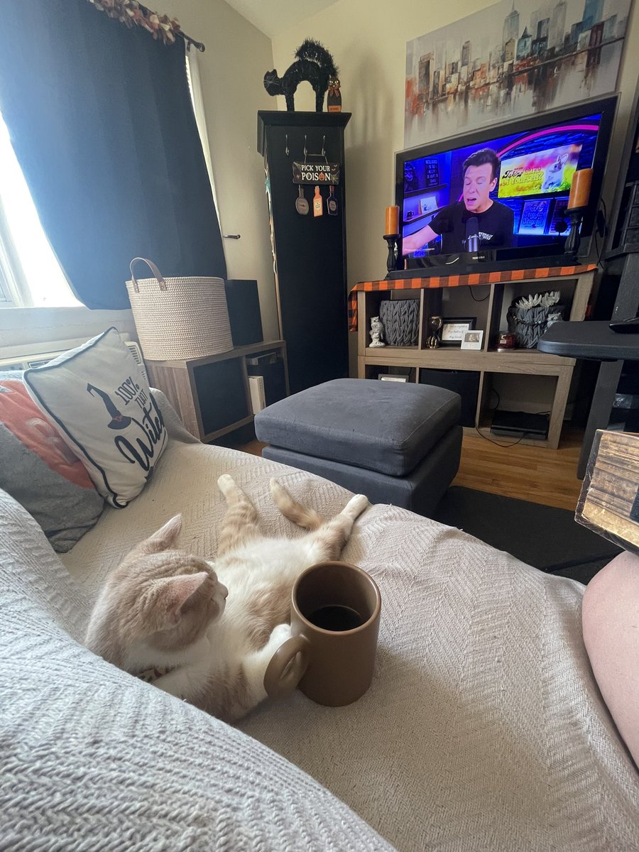 CalliHoostal's tweet photo. Little guy emotionally exhausted from a long day of sleeping, eating, and shitting. @PhillyD @LinzDeFranco #beautifulbastard #phillyd #emotionallyexhausted https://t.co/I7ZDm69V5B
