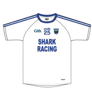 Congratulations to John ‘Shark’ Hanlon on training Hewick, bought locally in Goresbridge, to win the American National yesterday in Far Hills, New Jersey. 

Thanks again to John who kindly sponsored our new set of white adult jerseys this year.

<a href="/jhanlonracing/">Shark Hanlon Racing</a>