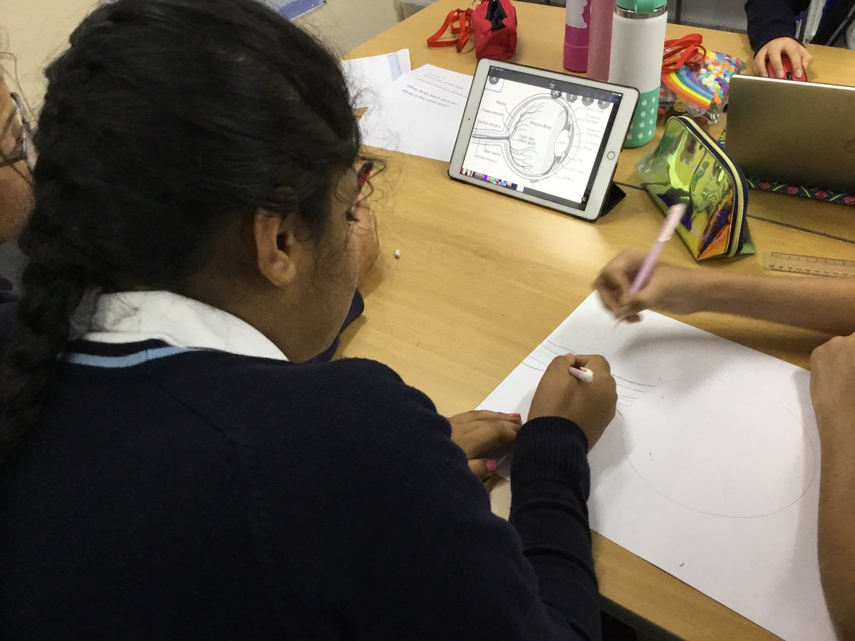 BSM Year 6 tweet media