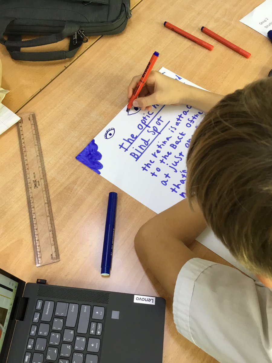 BSM Year 6 tweet media