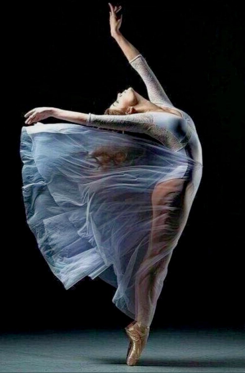 I ❤️ Ballet
#ballet #ballerina #art #dancer #femaledancer #beauty #femalebeauty #photography #artphotographic #balletphotography #artisticphotos