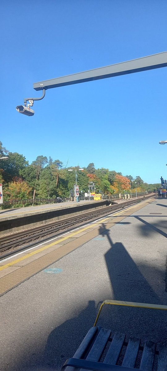 I'd forgotten just how boring and uncomfortable our English Summers are, in comparison to our Autumns - beautiful autumnal colours and long shadows. Not to mention being the season of mists and mellow fruitfulness, as the poet once said. It comes as a lovely surprise every year !