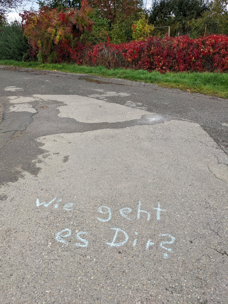 SvenStueven's tweet image. Der Weg an unserem Garten wird heute zum sonntäglichen Reflektions-Spaziergang. Bin gespannt, was der Dorffunk dazu sagt 😁