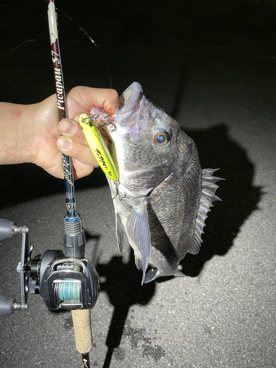 namatamanama's tweet photo. 暗くなってからﾁｯﾇを追加したよ。🙏☺️ 
　
#黒鯛通信 
#blackporgy 
#tulalajp 
#bombada 
#picapau57 
#roughstyle 
#tupper90 https://t.co/mmjxru8sGh