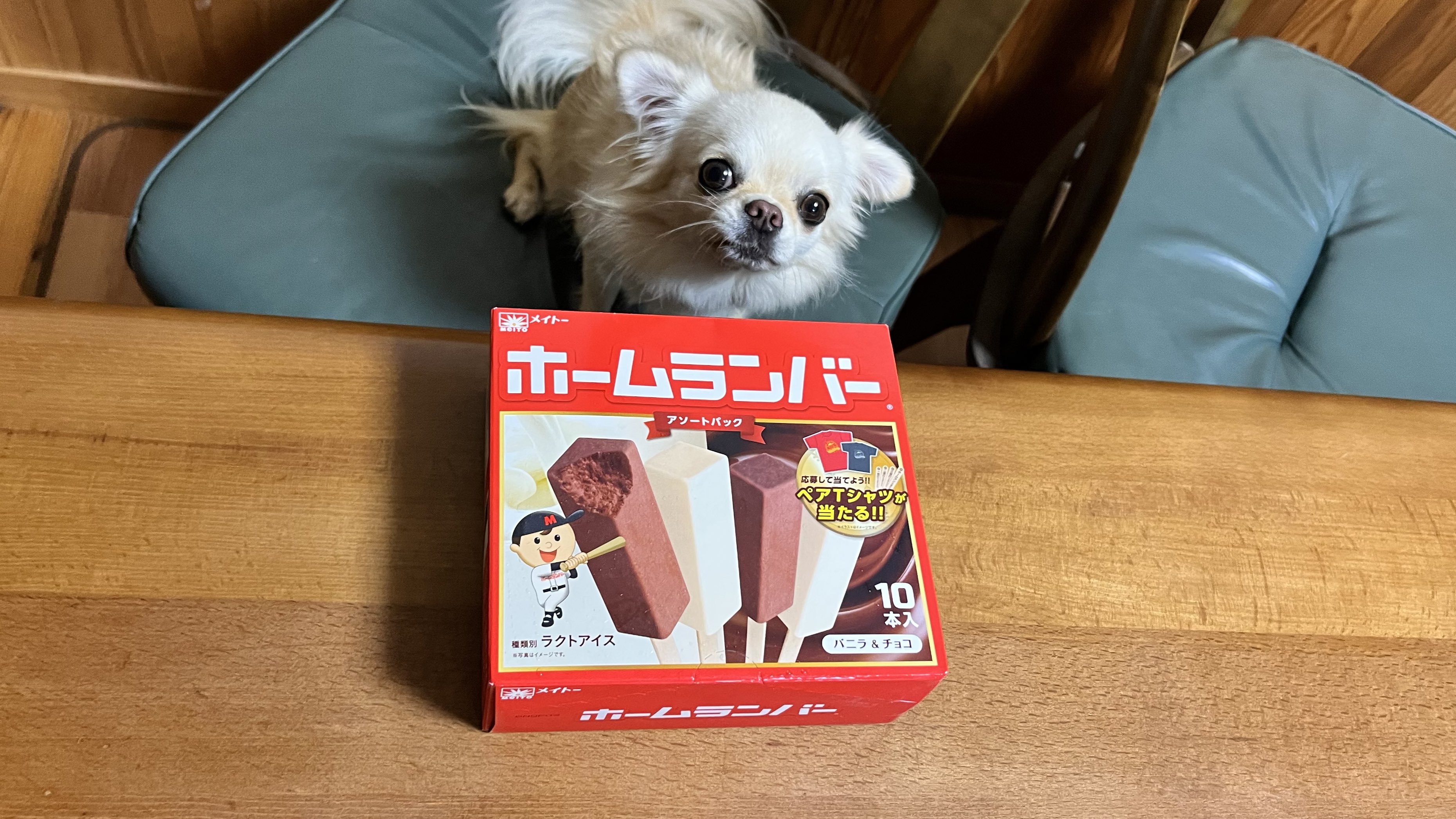 T ポイント5倍 ココちゃんさま ご確認ページ その他 Aslight Cl