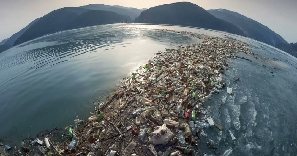 anna ott tweet media