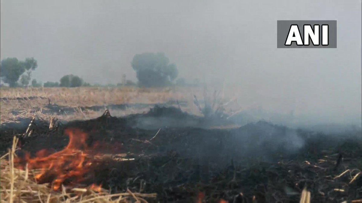 Punjab | Stubble burning continues in Amritsar; visuals from Manawala Village