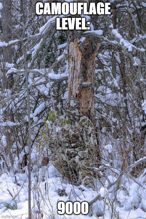 Can you see them? 😮😲