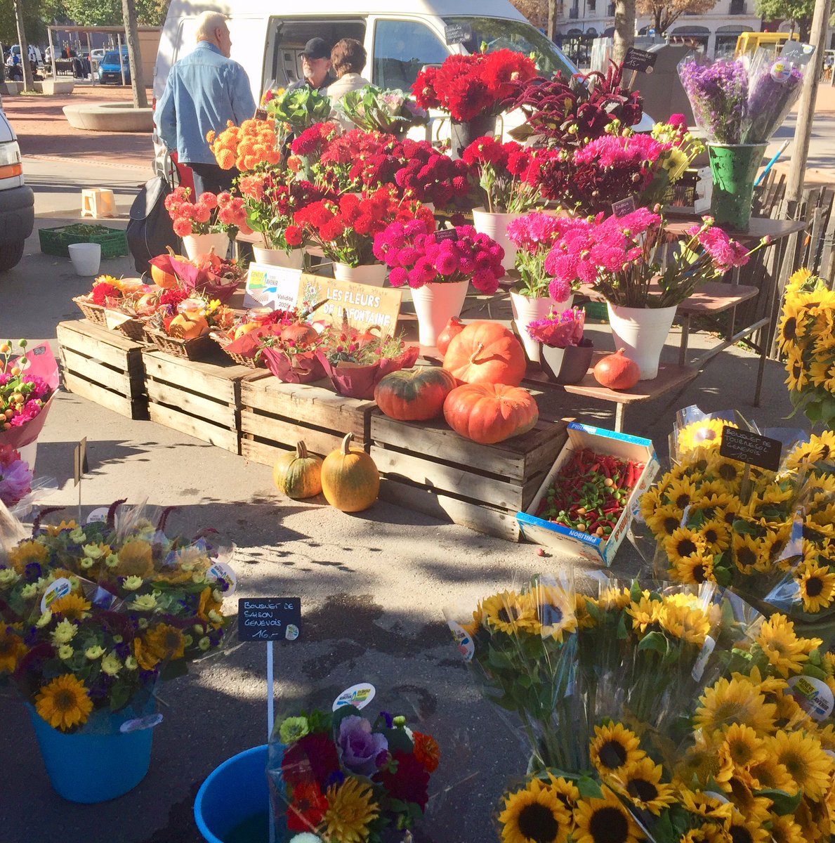 GmurHelen's tweet photo. 🤩❤️🇨🇭#Sonntag #Dimache #Genf #Genève #PlainpalaisMarket #EinewahreFreude #Blumen #heileWelt #SchönenSonntag https://t.co/x8dClibHyh