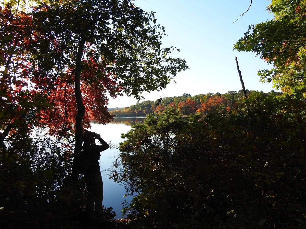 Emdoskeleton's tweet photo. Thanks to @FieldOrnith for putting on a great conference! I enjoyed learning about the society’s history, hearing about all the current field research, and soaking in the fall foliage. #AFO100 https://t.co/M0cvO50rGT