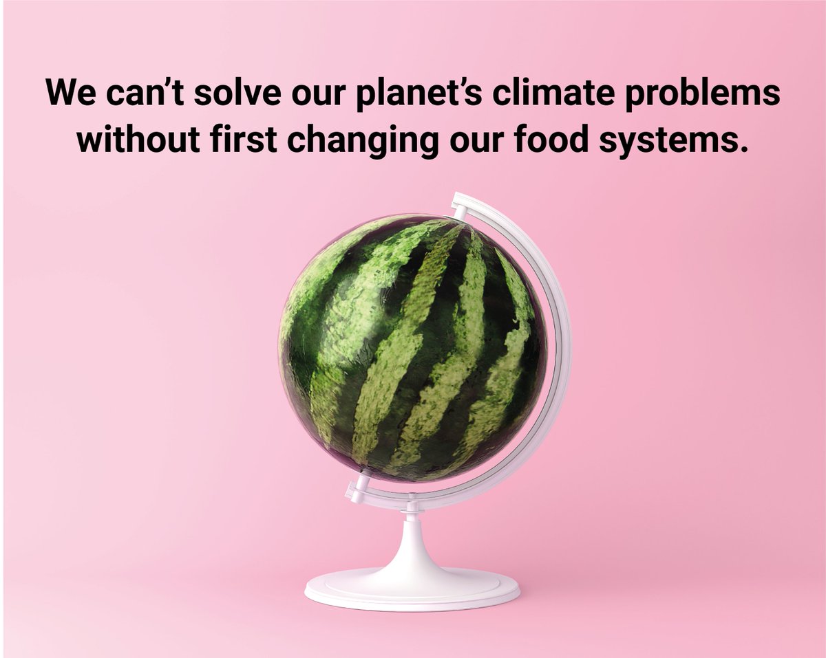 SmartParc's tweet photo. SmartParc is an innovative new space for food production. We have been thinking hard about how to deliver this exciting idea in developing countries. On #WorldFoodDay we announce that we're committed to helping them transform their food systems for the good of people and planet. https://t.co/F63P2zloyS