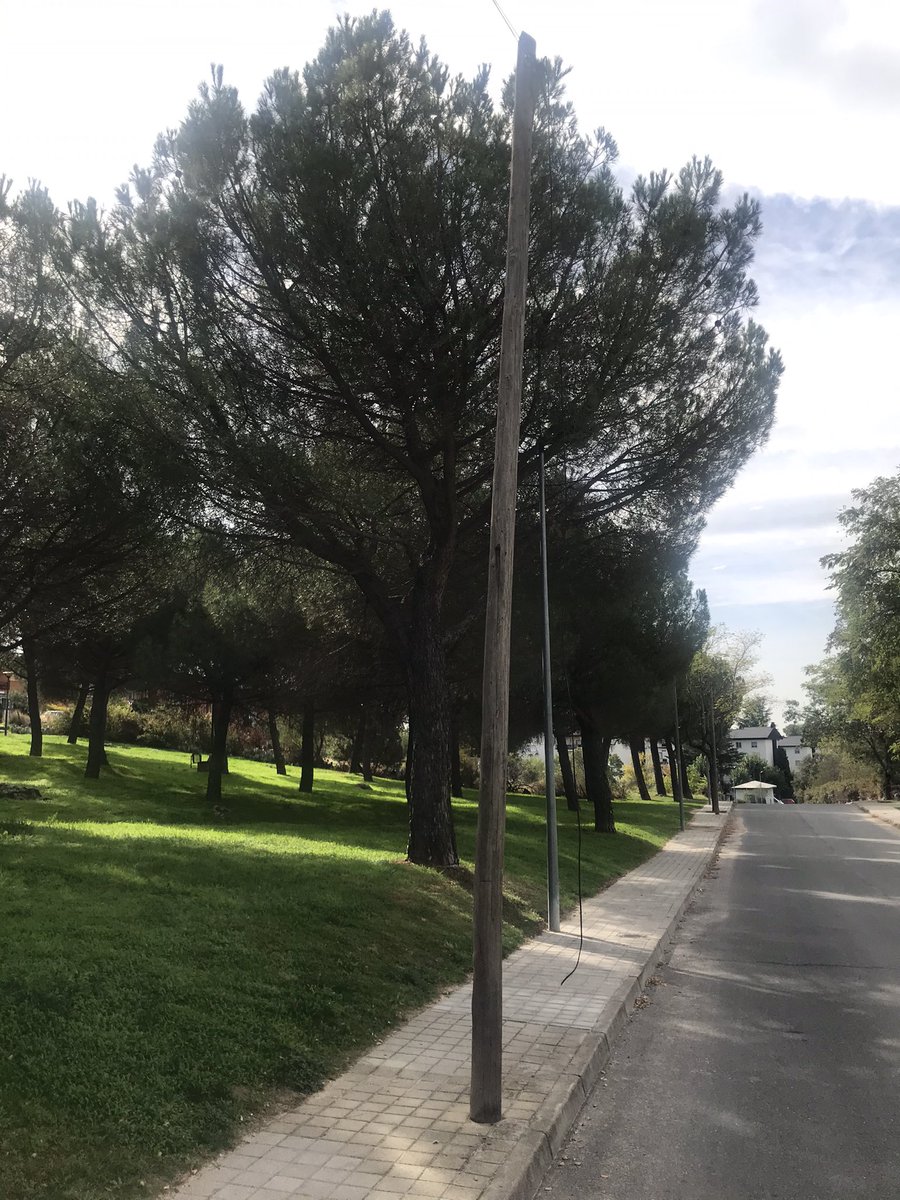 Cokegonzalez80's tweet photo. Hola @Ayto_Guadarrama ,en la calle trasera de la Urb. Prado San Juan,que da al antiguo Vivero,lleva bastantes días un cable suelto de un poste de electricidad...es una zona de paso de niños y puede ser peligroso. Aviso por si se puede revisar. Gracias https://t.co/L2W41UV1Ch