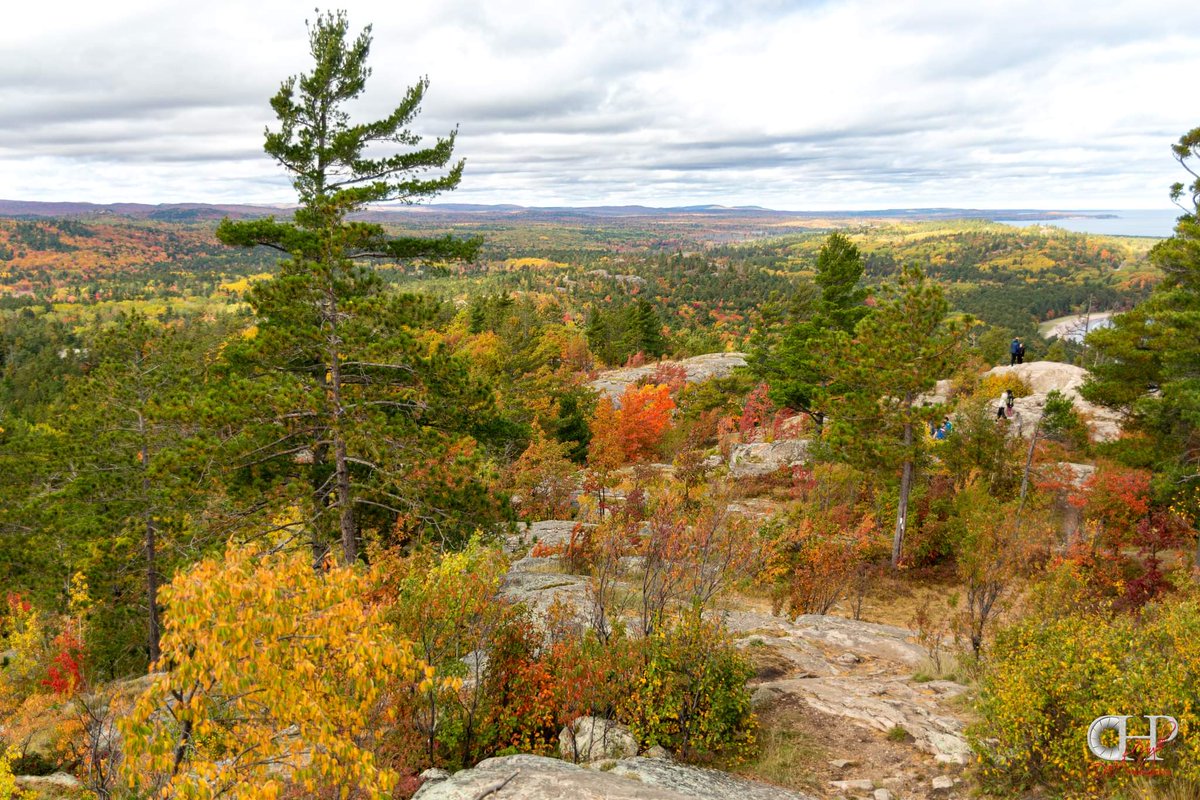 paraordanc's tweet photo. Another view from atop Sugarloaf Mountain
.
.
.
.
.
#marquette
#michigan
#PureMichigan
#photograph
#photography
#greatlakesstate
#mi_photography
#fallcolors
#fall
#colortour
#upperpeninsula https://t.co/RvSF4lrDIz