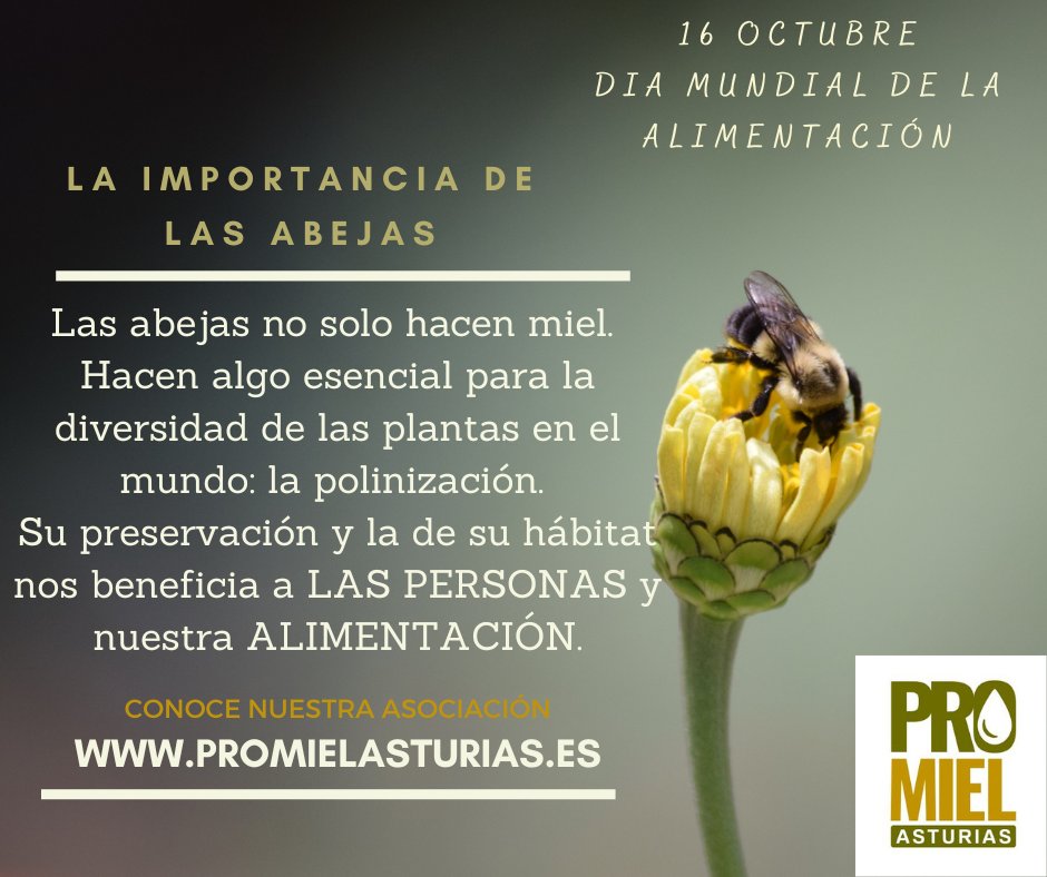 PromielA's tweet image. #diamundialalimentación #sinabejasnohaycomida #SinAbejasNoHayVida 🍯🐝💛‼
@alimentosastur