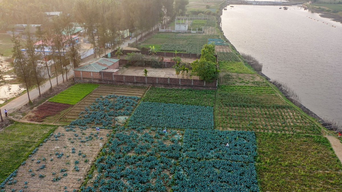 Rohingya Refugee Response tweet media