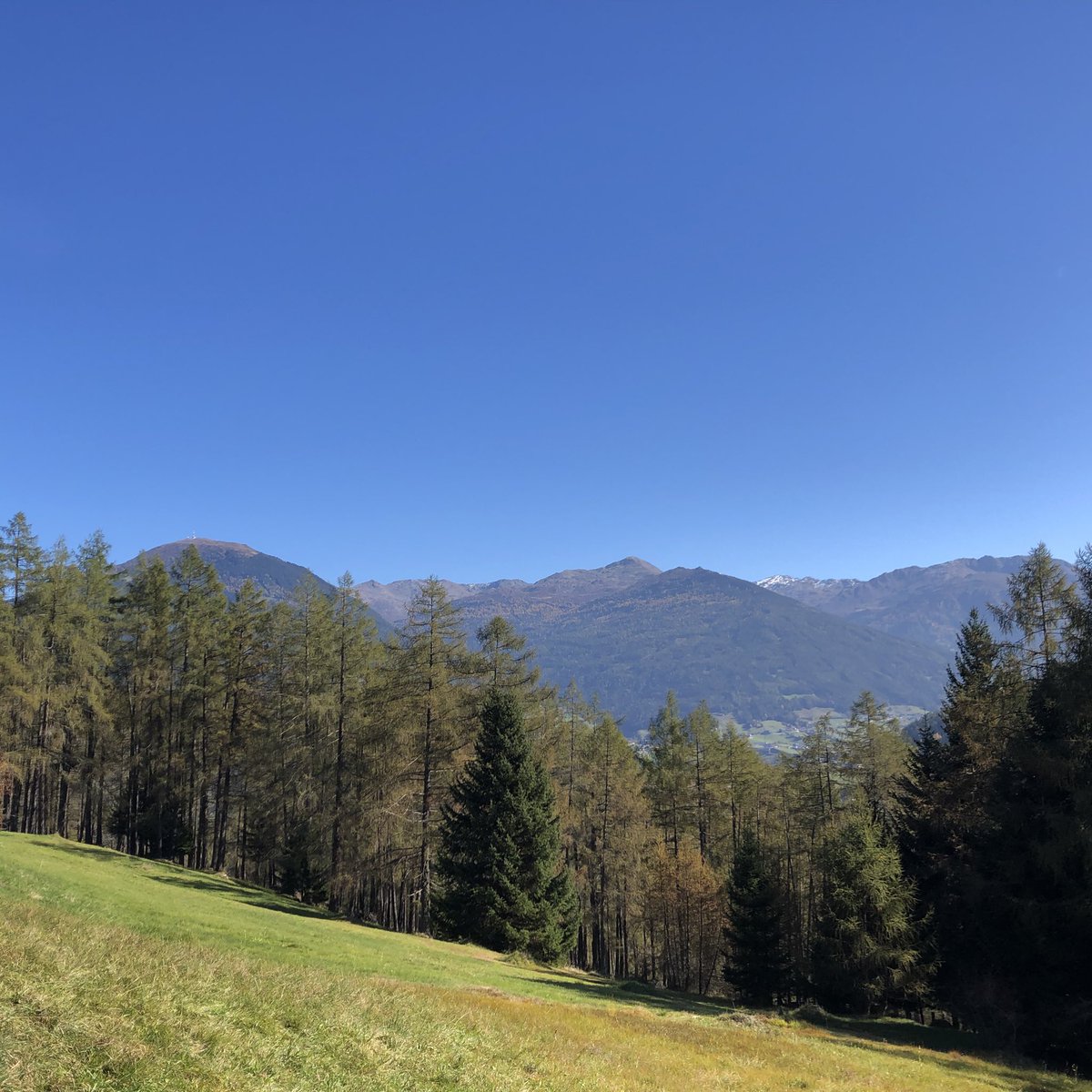 alpen_wetter's tweet photo. @luggi_k Weiß auch nicht was alle haben 😉 #fetzblau https://t.co/bZpAIZYZ3r