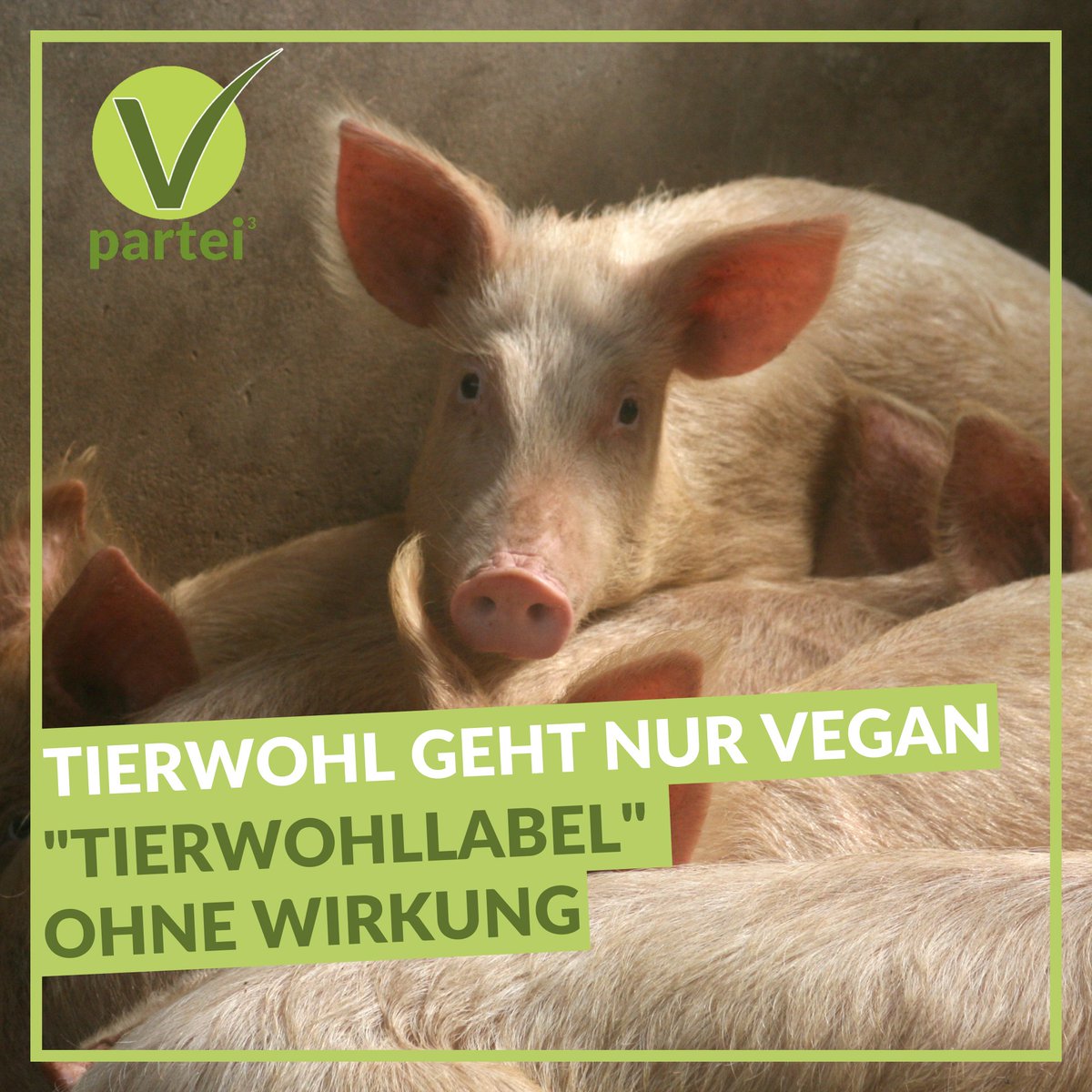 _VPartei_'s tweet photo. 5/5 werden diverse Produkte #vegan gelabelt.

Die Lösung? 
Kurzfristig: Einfach selbst #Vegan werden. 
Langfristig: Derartige Lösungen in Gesetzen durch Regelungen ablösen, die mit d #Tierrechten vereinbar sind.
#vpartei #tierwohllabel #tierwohl #vegandeutschland #veganforfuture https://t.co/837wvSEx1q
