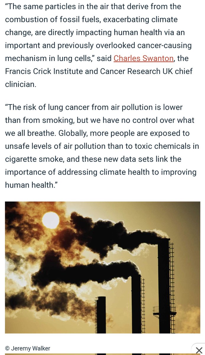 HealthPhysio's tweet photo. Further reasons for #AHPs to prioritise sustainability 🌳:

✖️"Globally more people are exposed to unsafe levels of air pollution than toxic chemicals in cigarette smoke." 🚬

https://t.co/FbppZWxnHE https://t.co/7Tbey8qaDR