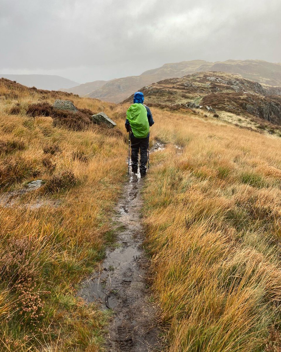Windermere99's tweet photo. High Rigg walk near #keswick #lakedistrict . The bracken is turning gold before it dies back for the year. https://t.co/kmDawQ8H3H