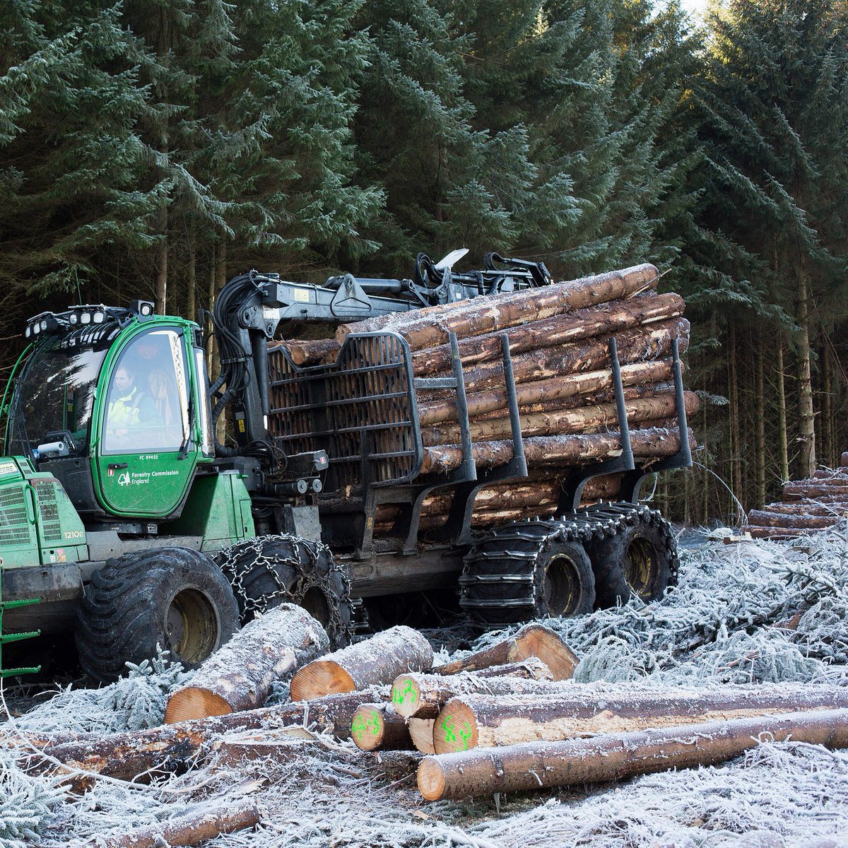 ForestryEngland's tweet photo. It's the end of #GiBWeek2022, but the nation's forests will continue to grow great British timber all year round!

Harvesting timber sustainably ensures forests are well looked after and increases their value 🌲 

Discover the importance of our work 👉  https://t.co/nKPIaUeESr https://t.co/vrWeUuKiLG