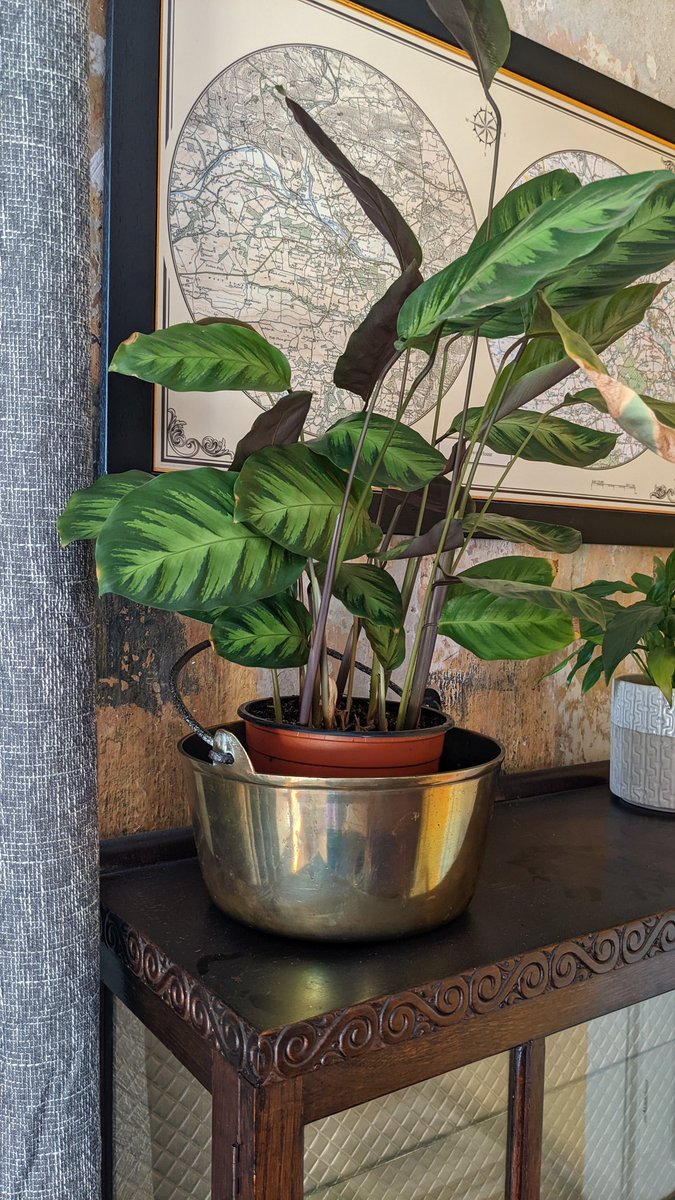 So the vintage copper/brass collection grows ever bigger with the addition of my 'new' brass jam pan, thanks to a good furtle around town yesterday. Nice!