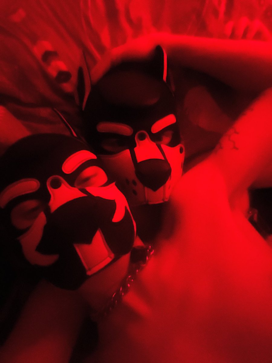 So horny, so happy 🐶