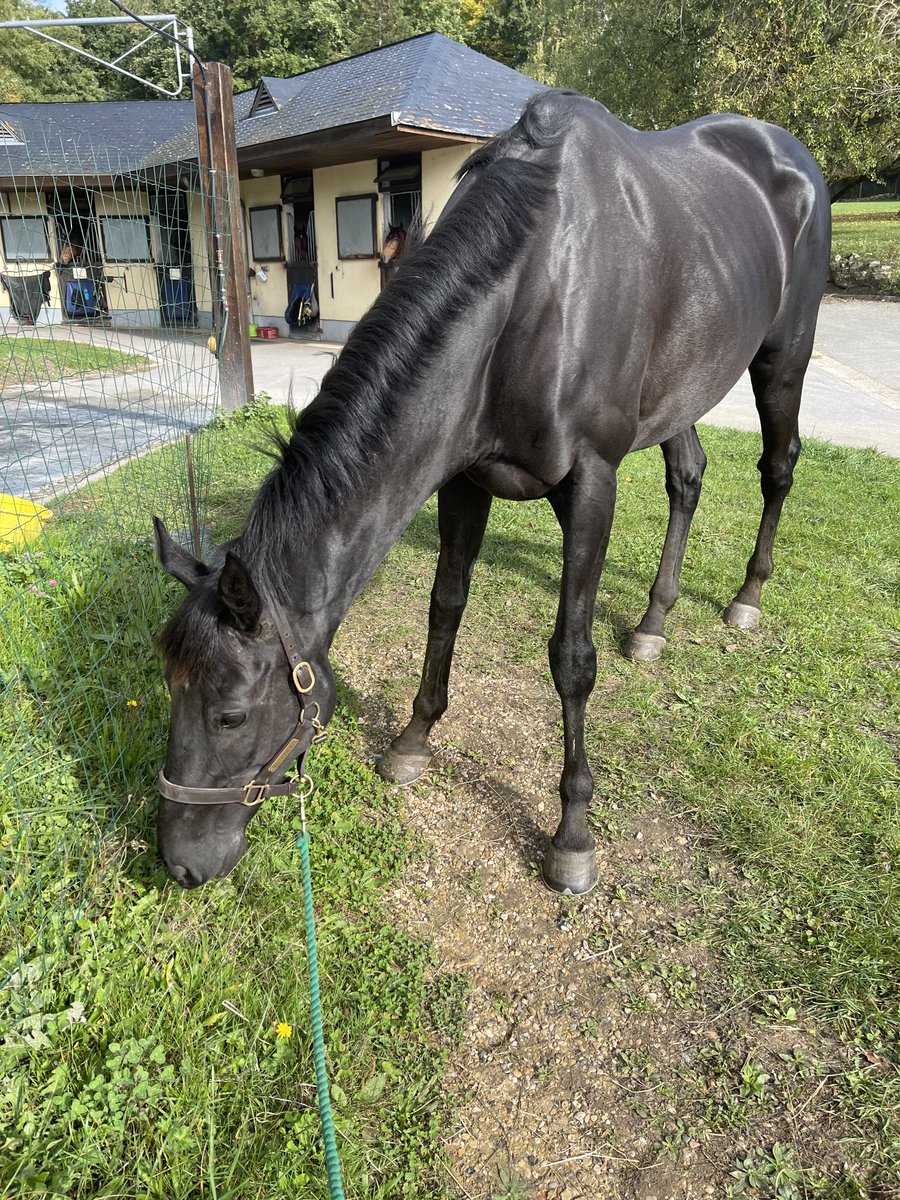 Kelly 🌟 tweet media