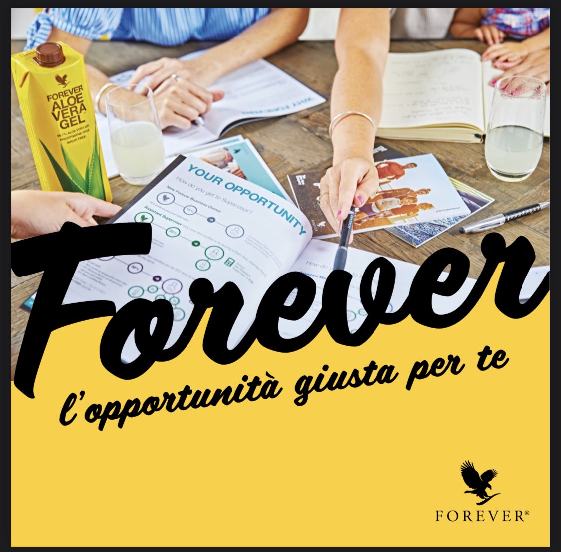 Stefano maggio tweet media