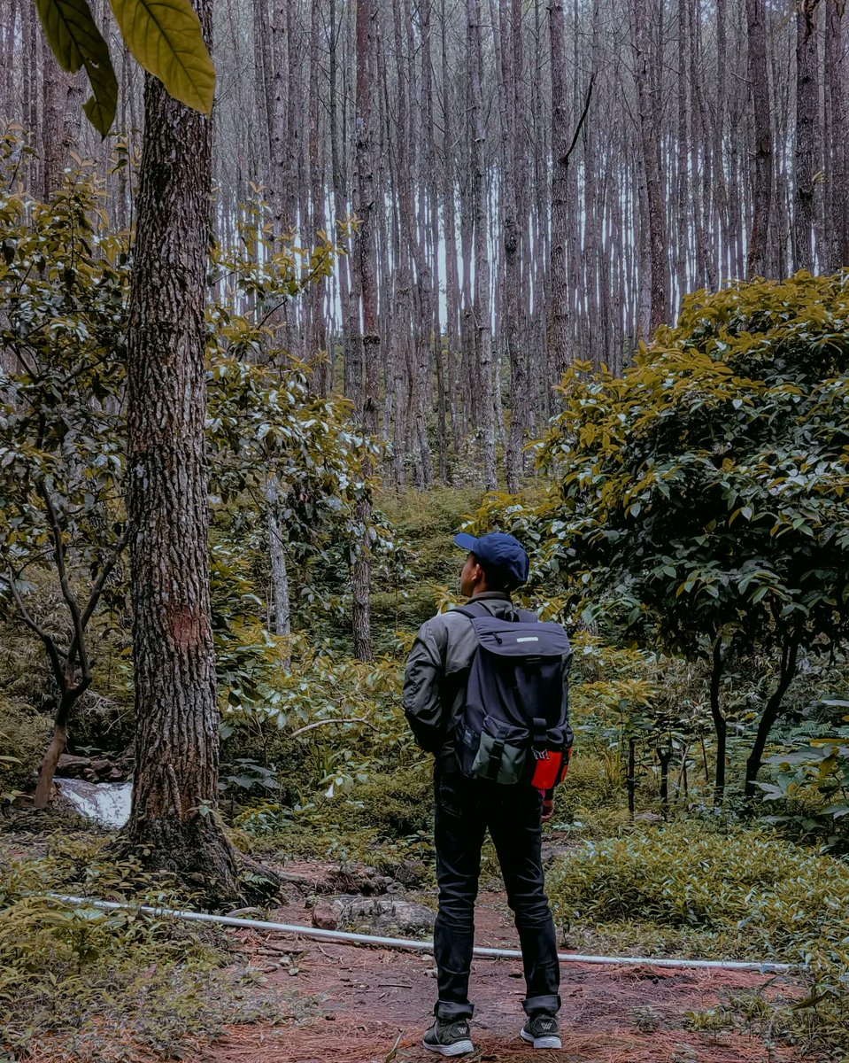 rydstory_'s tweet photo. Lagi mantau masa masa sulit ajekkk.
#twiitter #instagram #facebook #tiktok #k #twitter #youtube #ke #s #ko #memes #f #love #dbergasa #diegob #tucuerpoenverso #db #clips #onlyfans #literatura #sociales #poetry #frases #redes #poet #twitchmexico #textos #poesia #directos https://t.co/79X0m0kYVK