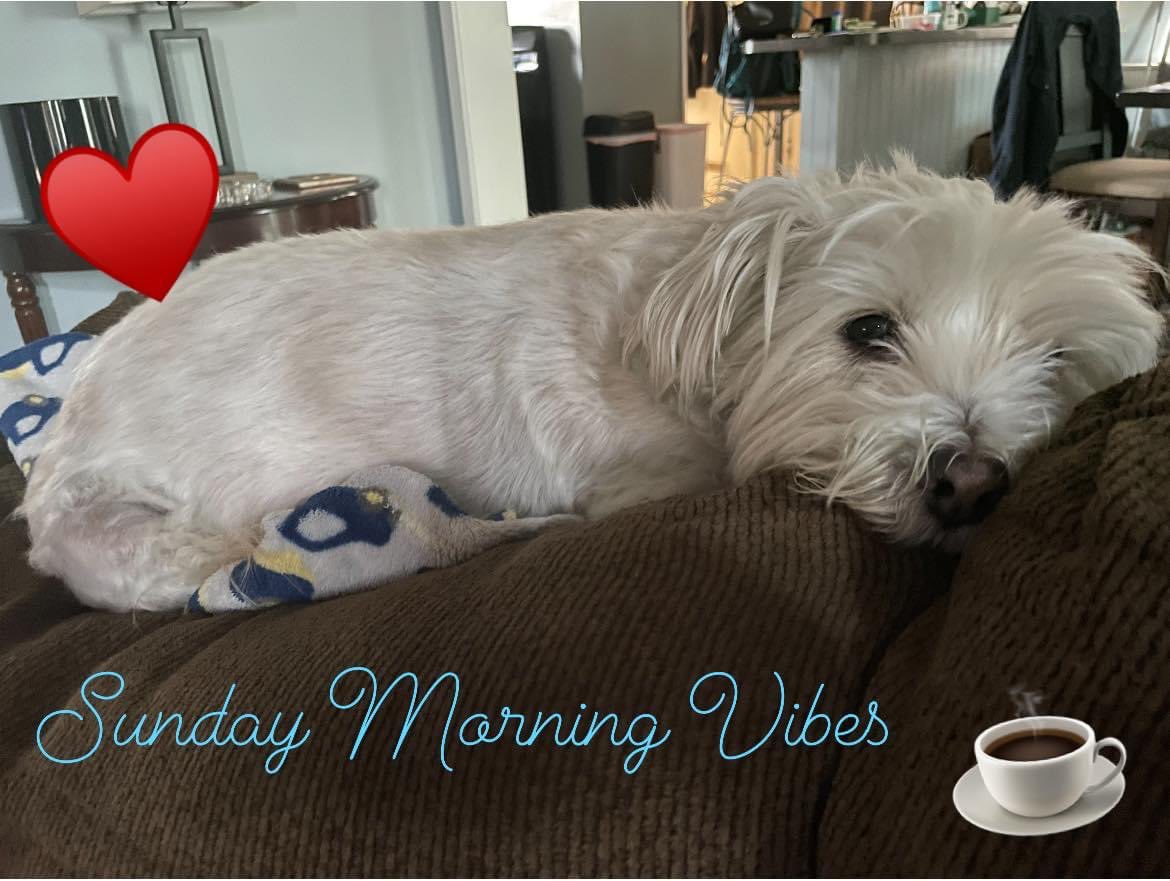 Renee Mackay tweet media