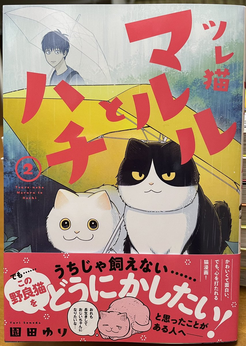 園田ゆり先生「ツレ猫 マルルとハチ」②。この漫画、ほんわかネコ漫画の皮(ていうかカバーね)を被ったシビアな〝野良猫と人間の生きる上での関係〟を考えさせる漫画だ。飼う覚悟、放っておく覚悟。覚悟がなければ安易に手を出してはいけない。結構胸が痛くなるが素晴らしい漫画だ。 