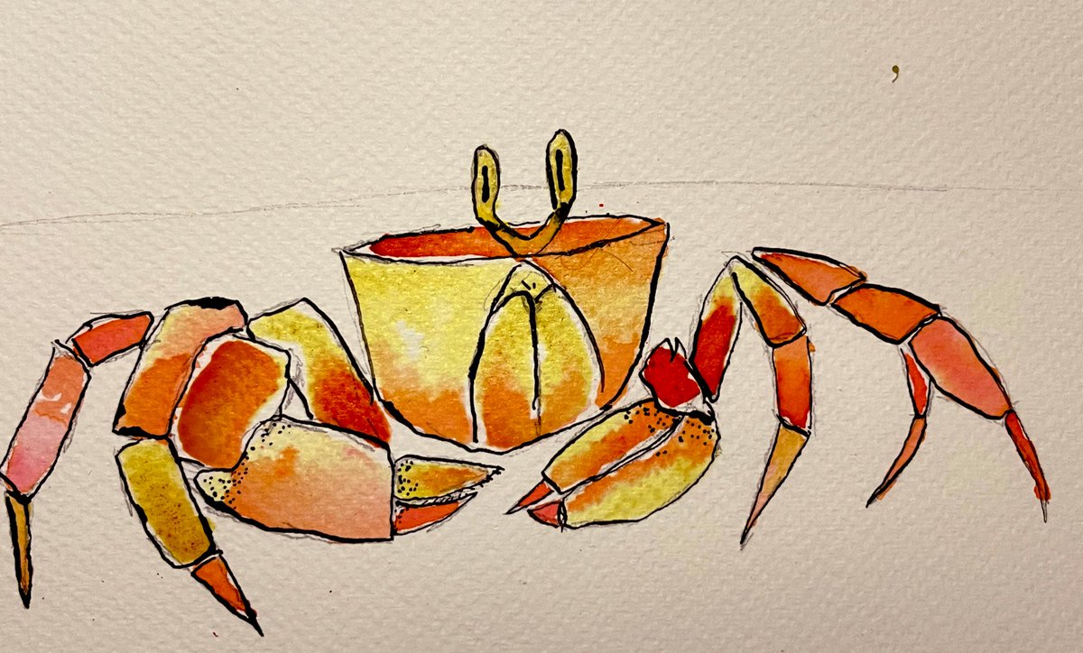 Meg_G_author's tweet image. Very late on #inktober2022 but trying to catch up as I can. For #crabby I drew this little guy. I was originally going to put him on a beach but I think he’s lovely as he is #crab #crustacean #inktober2022day10 #inktober2022crabby