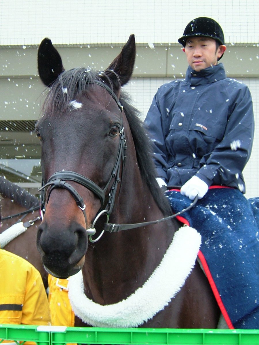 競馬のゼッケン　ツルマルツヨシ FfM1QZ-VsAEcO2E.jpg