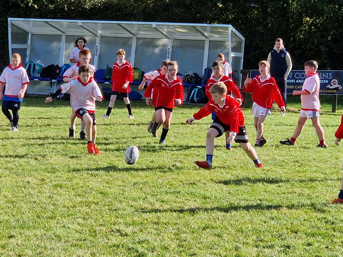 Ardee Rugby CCRO tweet media