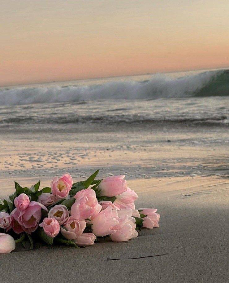 2ii0__'s tweet photo. ❥•
ثمّ بعد كلّ ما مرَرت به، يأتي وقت تشعر فيه أنّك أخيراً نفضت يدك من الناس، نفضتها تماماً، ولا يَهزمك بعد ذلك أحد!
࿐❁ https://t.co/aStABWF4e4