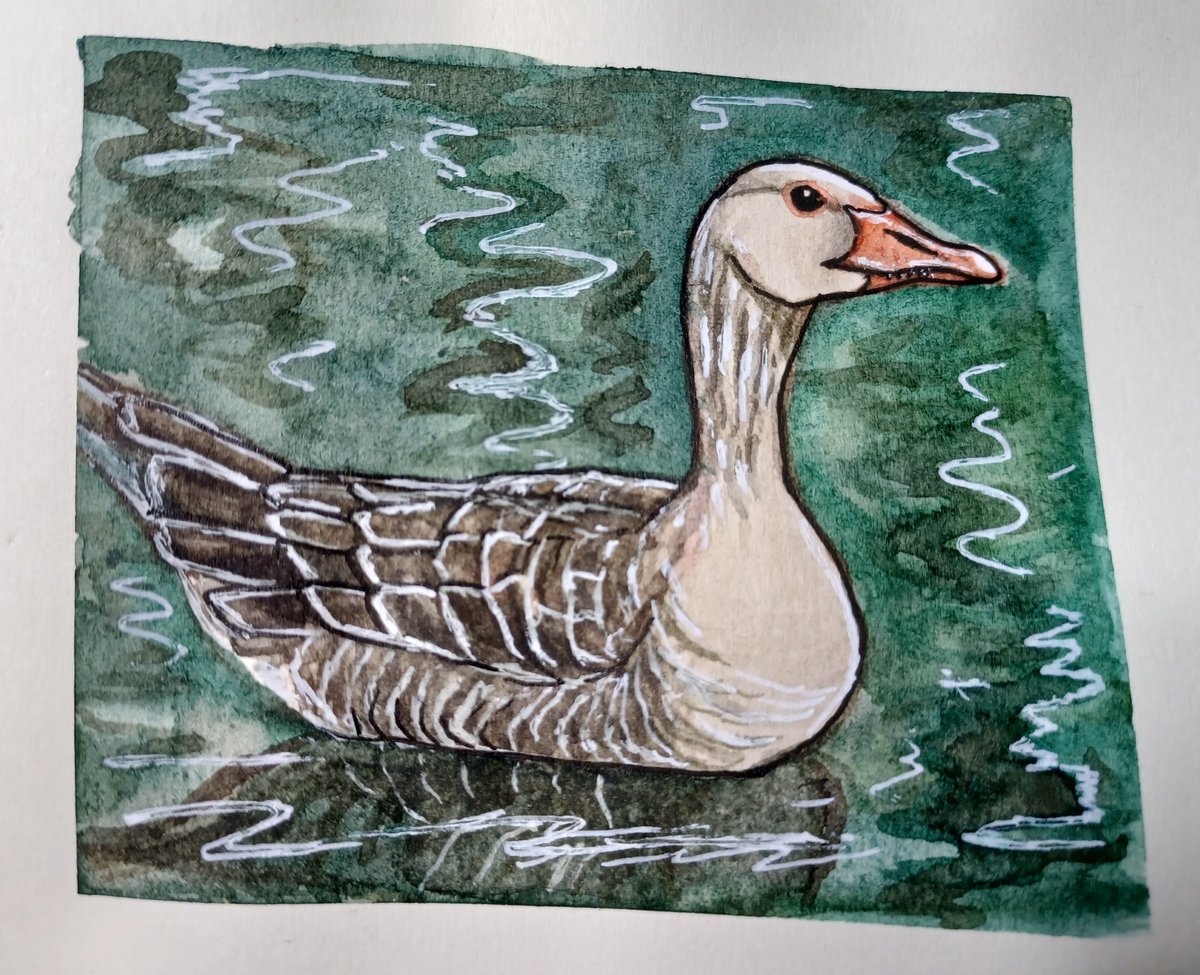 Empan85's tweet photo. Day 16 of Inktober was "Fowl" So i decided on a waterfowl The Greylag Goose. Anser Anser https://t.co/IQDdrUZlb5