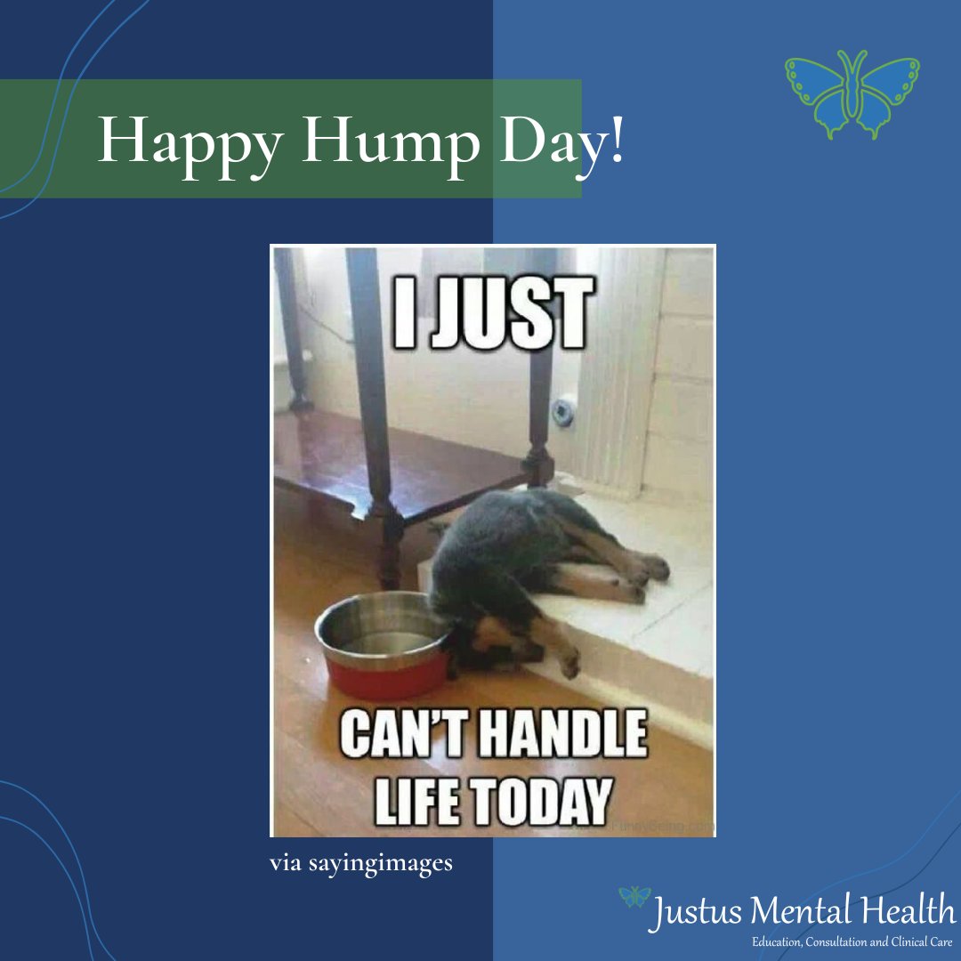 Justus_mh's tweet photo. #HumpDayMotivation 
#MentalHealthMatters 
#MentalWellbeing 
"If you can laugh in the face of adversity, you're bullet proof." @rickygervais https://t.co/5B2anqo99n