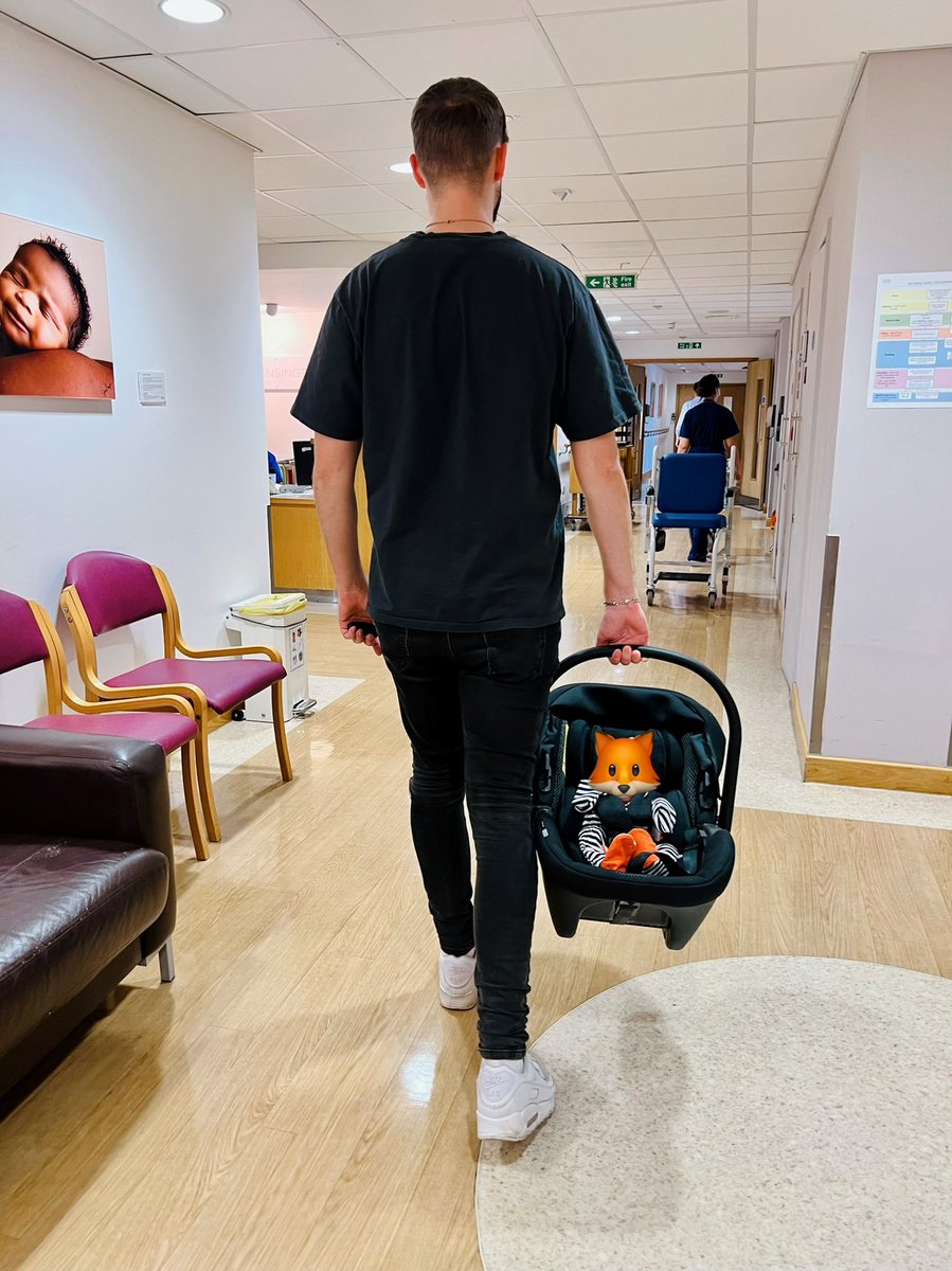 claresiobhan's tweet photo. We’re finally heading home 🦊🥰

Excited to be back in our own bed and introduce Theo to his family 🥹❤️ https://t.co/ivlfBWOkMO