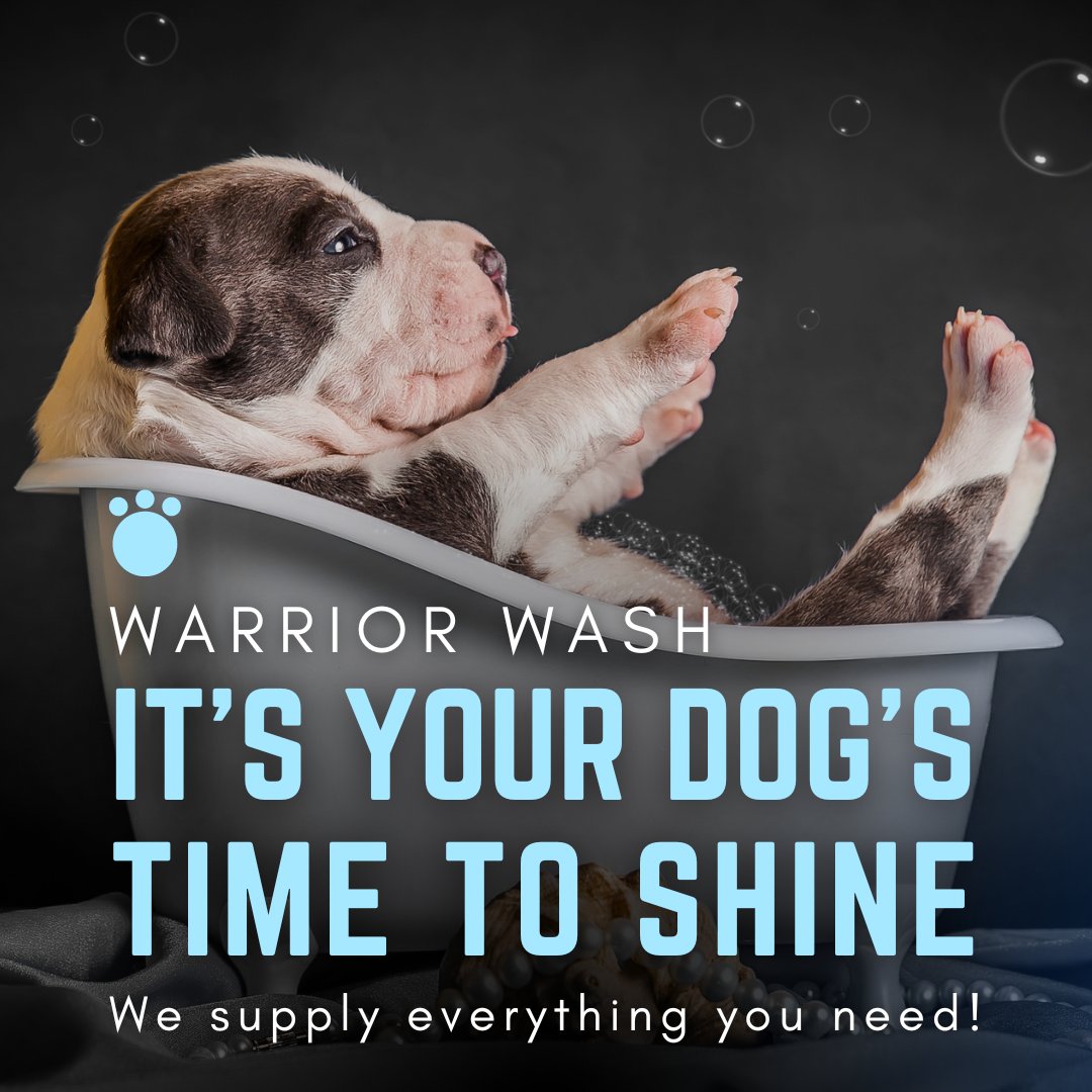 warriorwash1's tweet photo. It's your dog's time to shine!

#DogWash  #CleanPup #SWVA https://t.co/PrNUG2del8