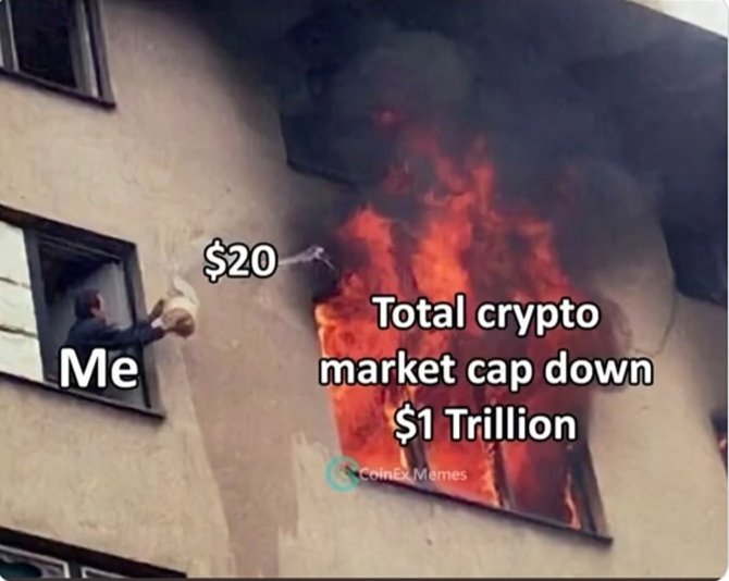 MuscledCartman's tweet photo. @rollbitcom https://t.co/pnkqYt020V