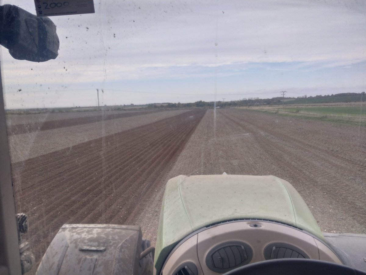 Rob Hodgkins tweet media