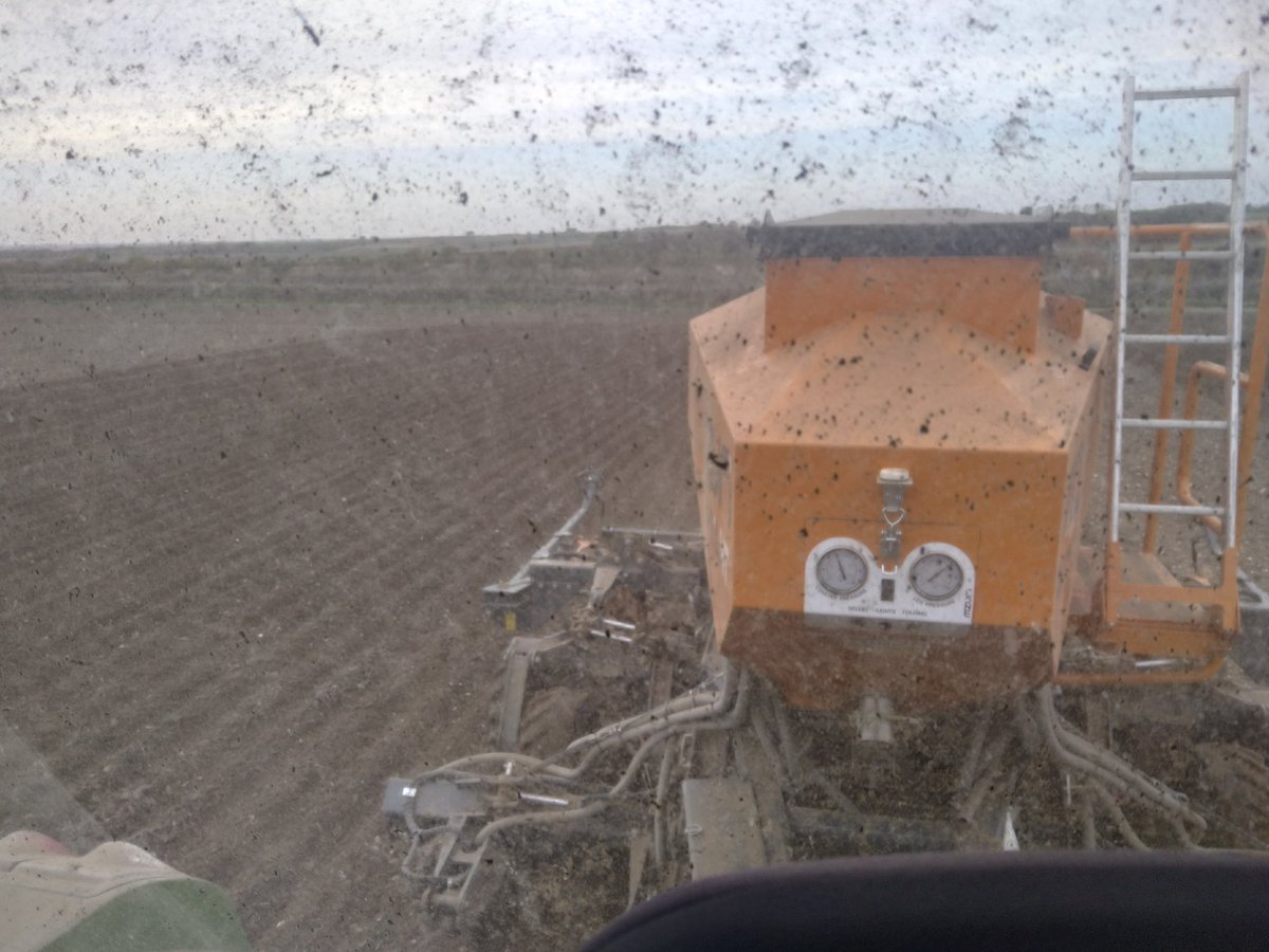 Rob Hodgkins tweet media