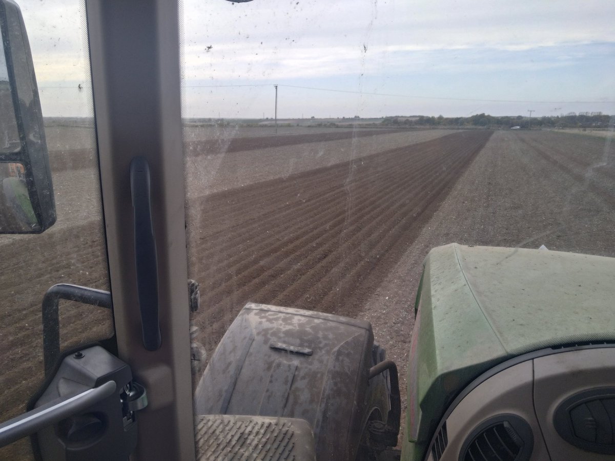 Rob Hodgkins tweet media