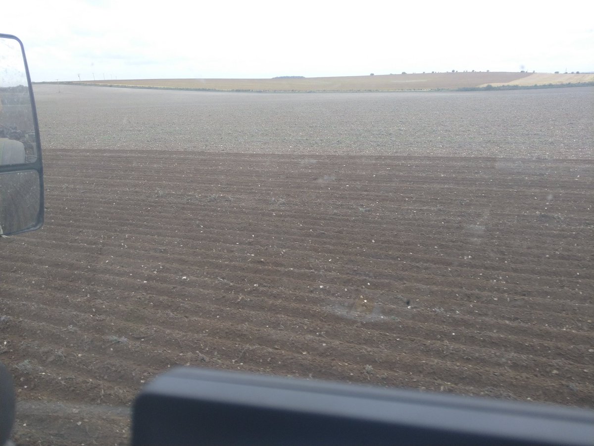 Rob Hodgkins tweet media