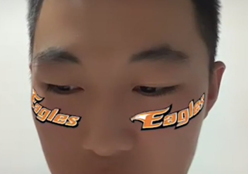 이런 효과쓰고

"나는한화밖에없어"
"내가좋아하는팀은하나야"
이런발언