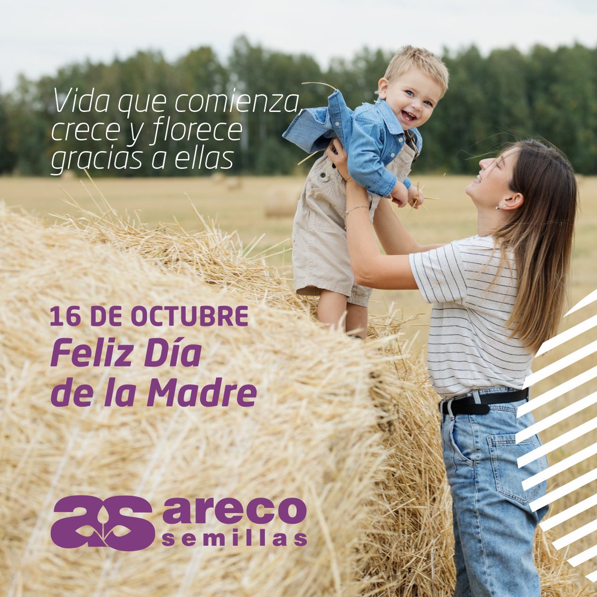 ArecoSemilllas's tweet photo. Feliz día a todas las que desempeñan ese papel con amor, compromiso y fortaleza
#DíaDeLaMadre https://t.co/Ap6XY5BrAH